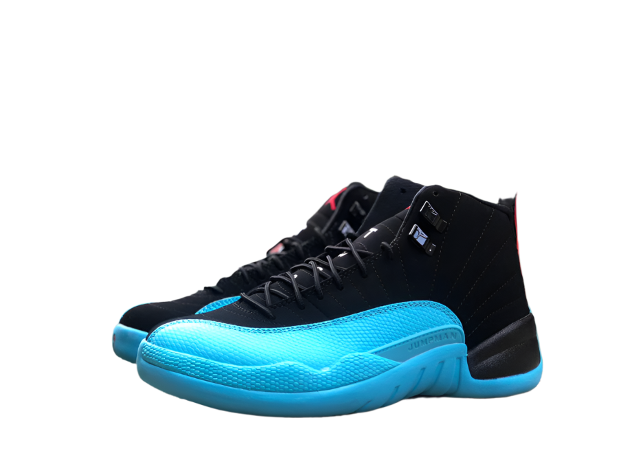 Jordan 12 gamma bleu