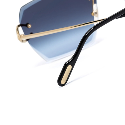 Polychromatic Sunglasses