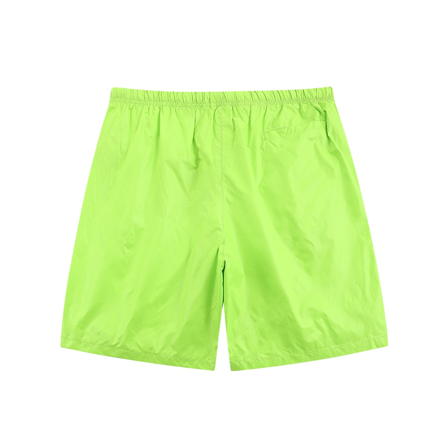 Palm Swim Shorts
