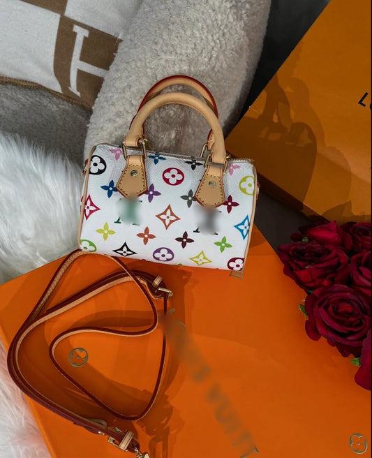 Sac Speedy Mini LV multicolore