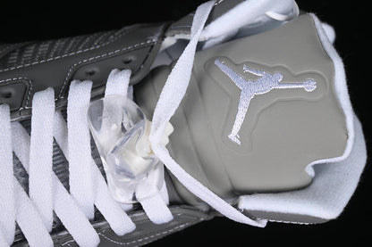 JORDAN 5 x WOLF GREY