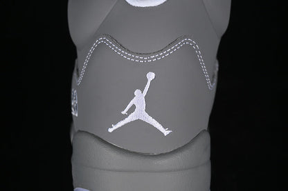 JORDAN 5 x WOLF GREY