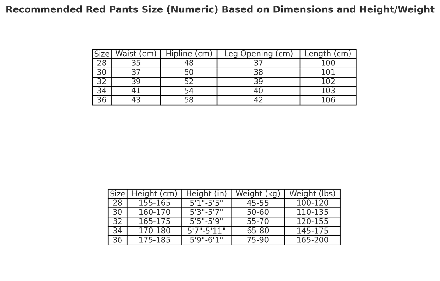 JEAN CHROME HEARTS NOIR VERT LÉOPARD