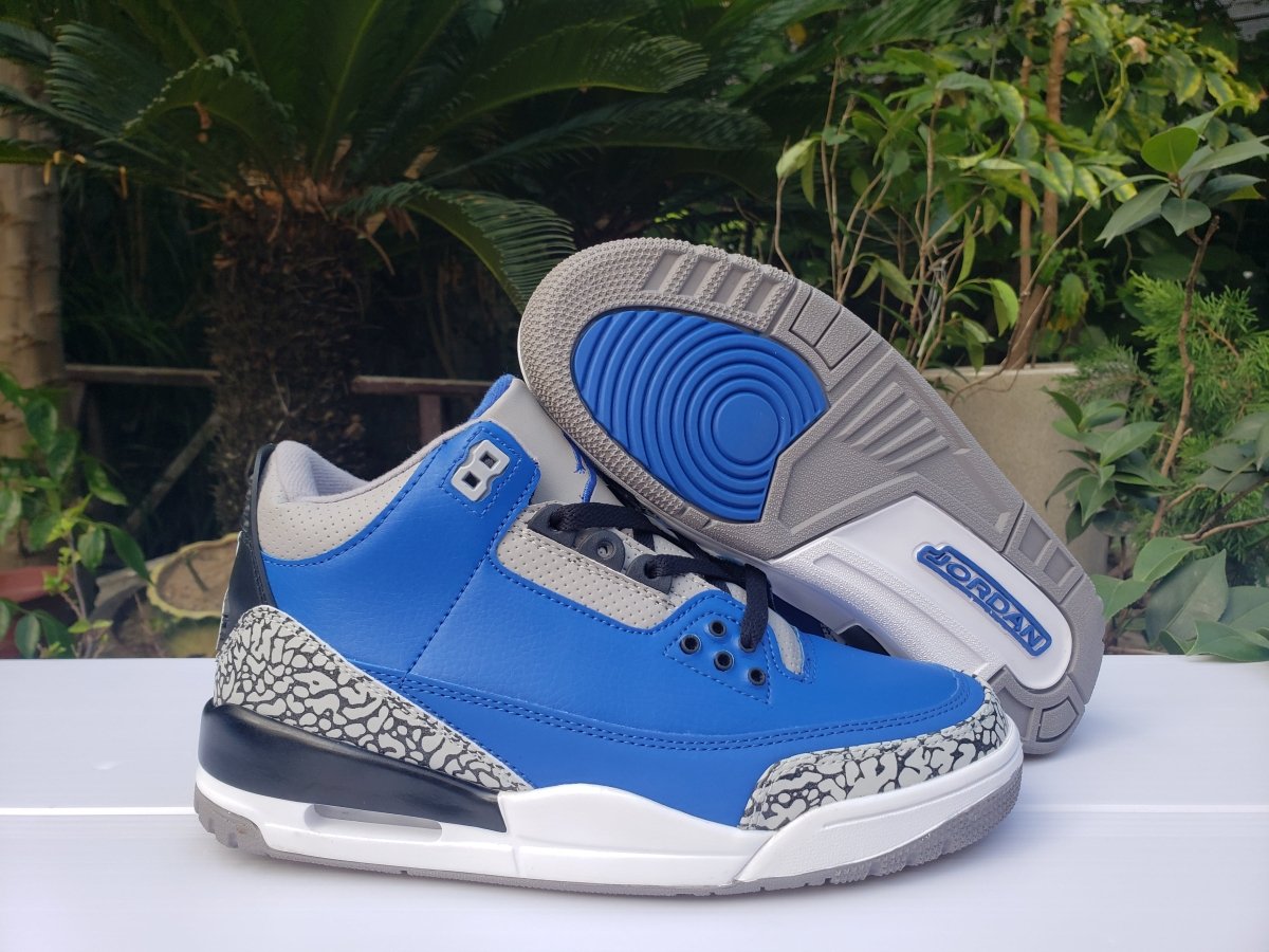 JORDAN 3 RETRO x VARSITY ROYAL CEMENT 