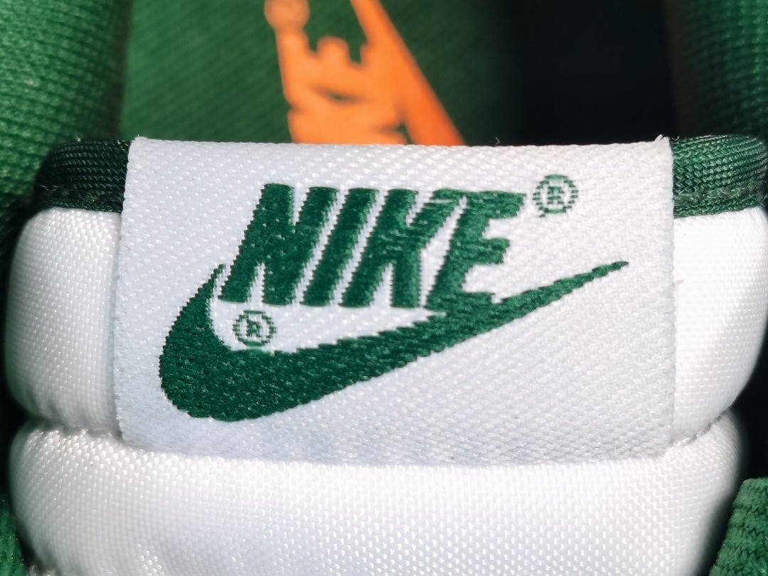 NIKE DUNK x MICHIGAN STATE