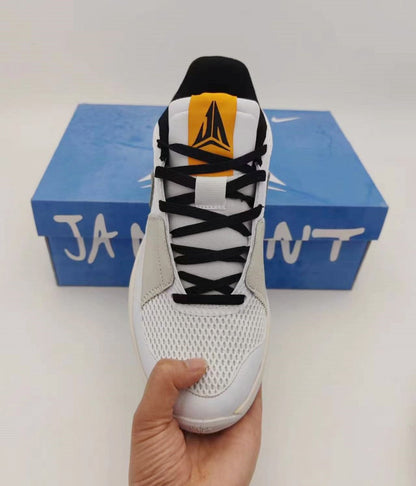 NIKE JA 1 x GRIS FUMÉ CLAIR