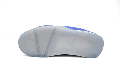 Air Jordan 4 Retro Floride