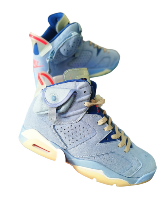 Jordan 6 « UNC »