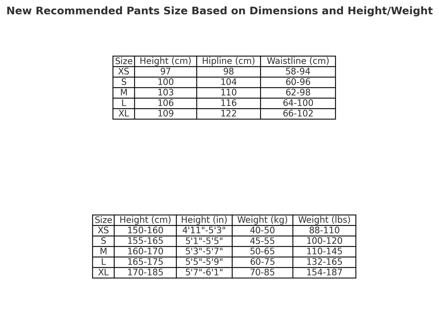 JOGGERS CORTEIZ MEGASHUKU VERT