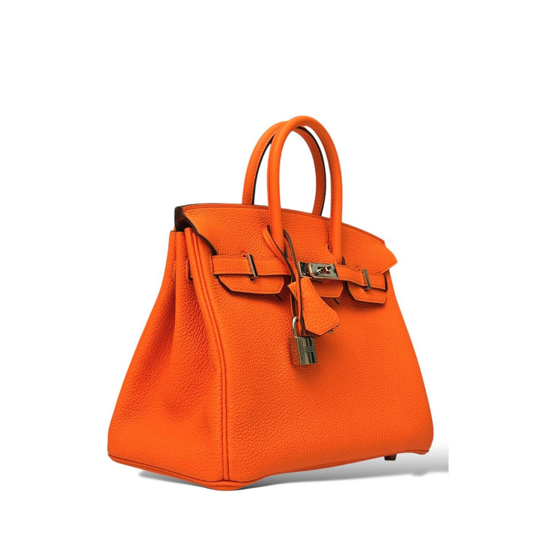Sac Birkin 25