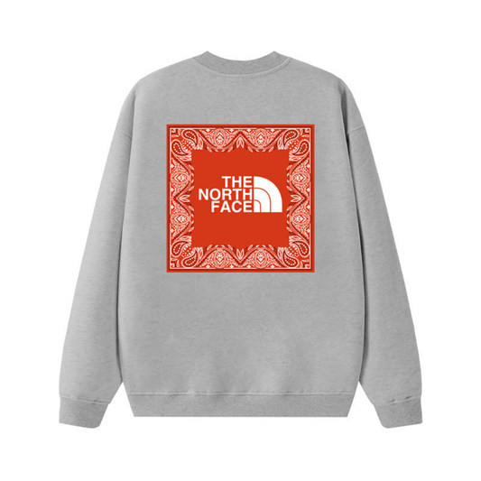 Tnf Monochromatic Hoodie